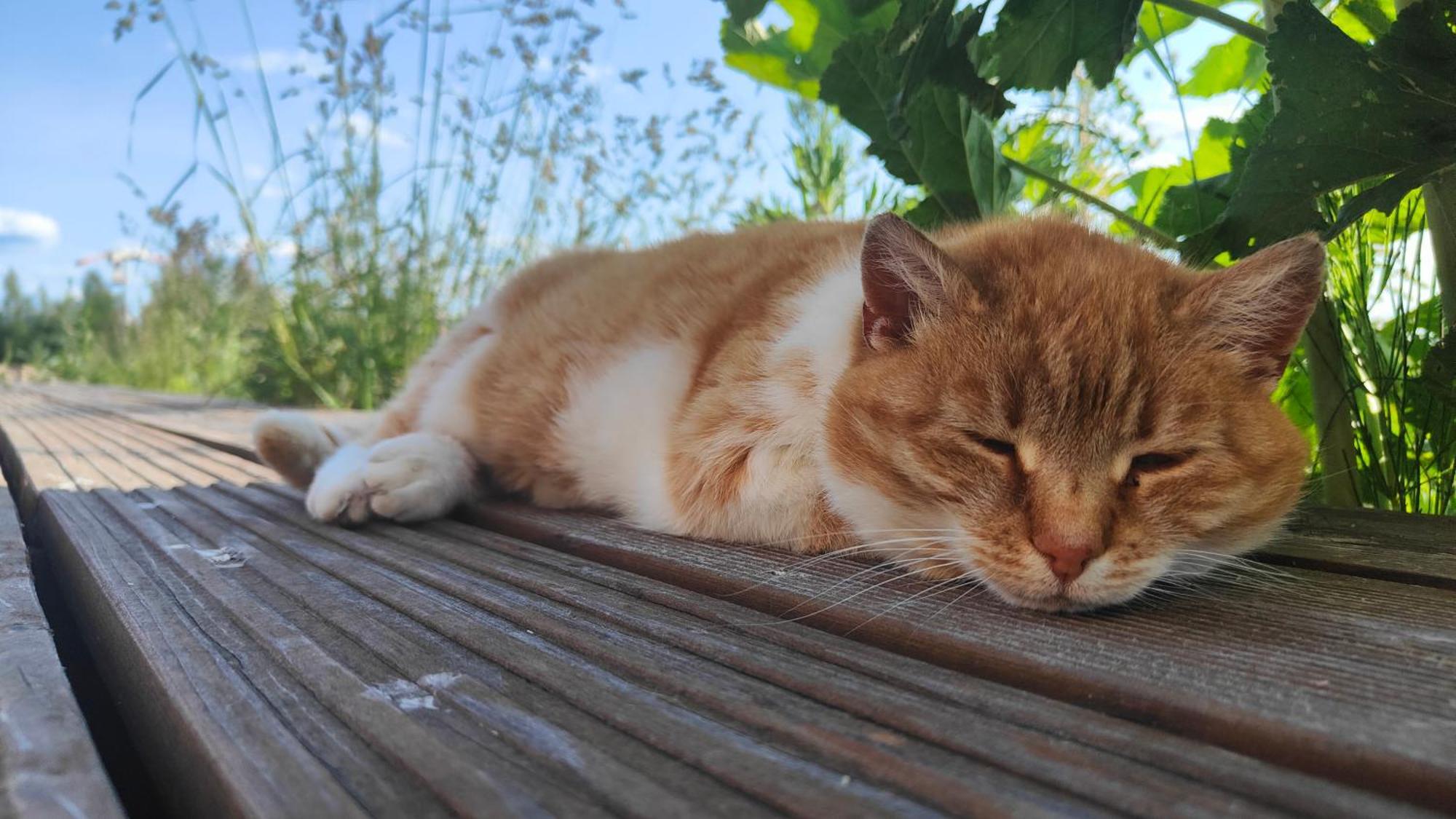 Mila Przystan Villa Ksiaznik Exteriör bild