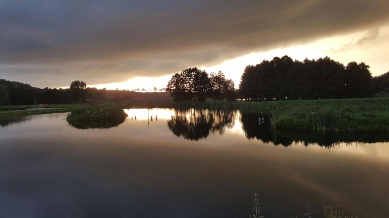 Mila Przystan Villa Ksiaznik Exteriör bild